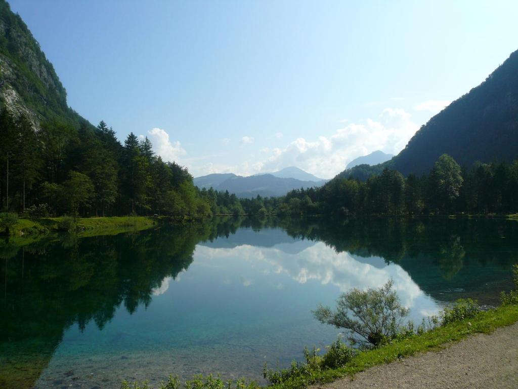 Bed and Breakfast Goldener Ochs Golling an der Salzach Zewnętrze zdjęcie